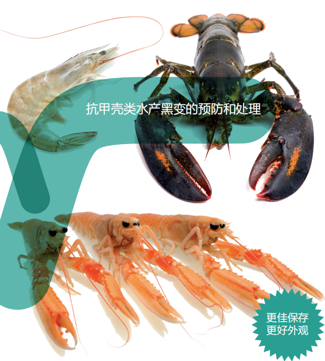 黑斑抑制剂